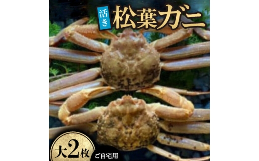 【先行予約】【活き】ご自宅用　松葉ガニ　大　2枚(1枚800～940g前後)※11月中旬から順次発送【1763341】