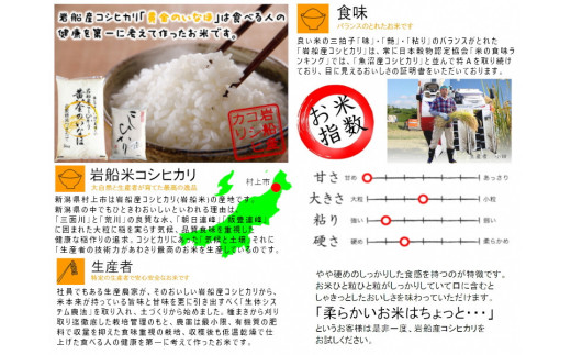 【新米受付・令和7年産米】自然豊かな風土が育んだ新潟県岩船産コシヒカリ50kg　1017002N