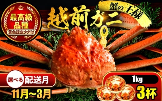 【先行予約】 【2月配送】 越前がに 1kg×3杯 小浜市 / まるほ商店 【配送不可地域：北海道・沖縄・離島】[BFCS032-2]