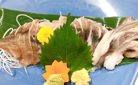 食事券 回転寿司魚喜 あぶり焼きSAKANAYA 共通お食事券 3000円分 [ANDC001] 食事券
