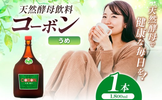 毎日飲む方に！天然酵母飲料「コーボンうめ」（1800ml×1本）| COBON cobon 飲料 発酵飲料 フルーツ 大容量 静岡県 伊豆の国市