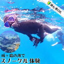 【ふるさと納税】B24-015 三浦半島城ヶ島の海でスノーケリング