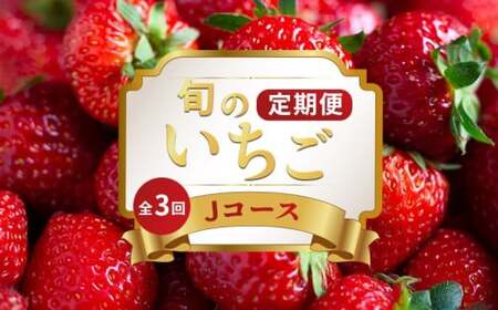いちご 定期便 3回 Jコース いちご フルーツ定期便