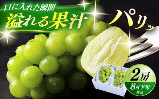 【先行予約・26年8月以降発送】日田産シャインマスカット2房(約1kg) 日田市 / 南国フルーツ株式会社 ブドウ 葡萄 ぶどう しゃいんますかっと 果物 【配送不可地域：離島】[ARET005]