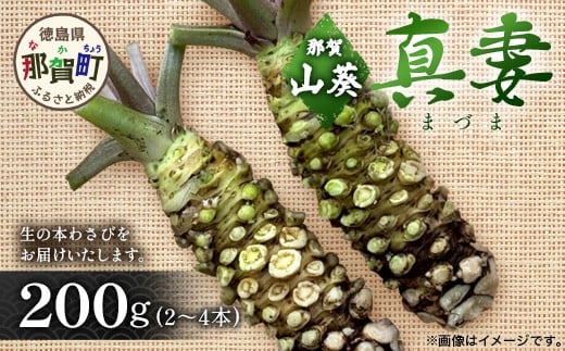 那賀わさび (真妻) 約200ｇ 2～4本【徳島県 那賀町 生産者直送 産地直送 本わさび わさび ワサビ 生わさび 山葵 野菜 香味野菜 国産 真妻 薬味 調味料 万能 新鮮】FN-07