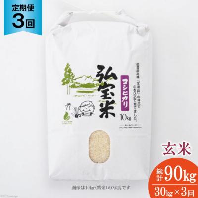 ふるさと納税 宝達志水町 お米 定期便 3回 コシヒカリ「弘宝米」 玄米 30kg 計90kg [38601290]