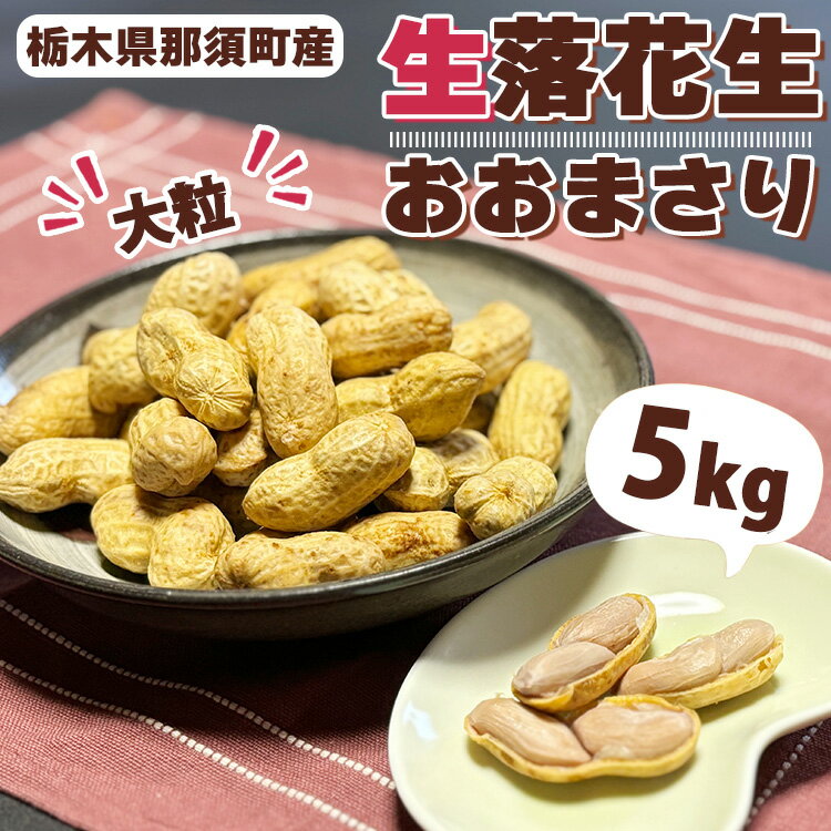 【ふるさと納税】大粒生落花生「おおまさり」5kg｜落花生 大粒 ピーナッツ おつまみ 国産 おやつ 冷蔵 那須 栃木県 那須町〔D-50〕　※2025年9月上旬～10月下旬頃に順次発送予定