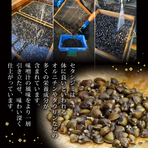 びわ湖産天然 しじみ味噌汁 10食入 ＜あゆの店きむら＞