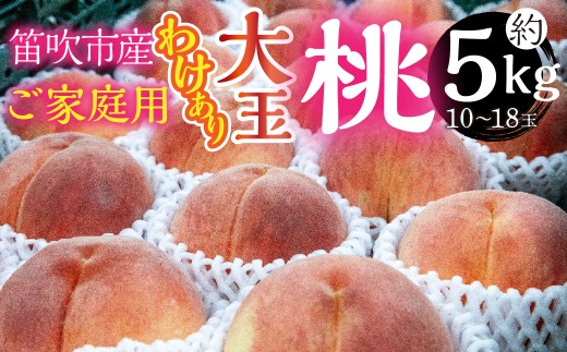 【2026年発送★先行予約】山梨県笛吹市産　ご家庭用(わけあり)大玉桃　約5kg(10玉～18玉) 263-003-26y　冷蔵便