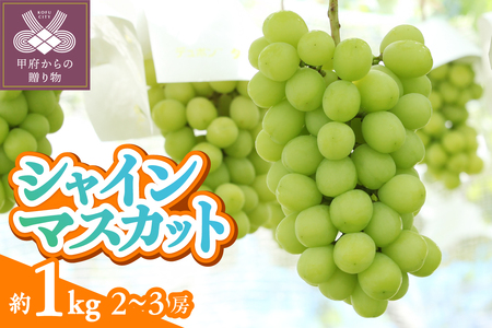 〈2025年度配送分〉甲府市産　シャインマスカット　約1.0kg（2～3房）