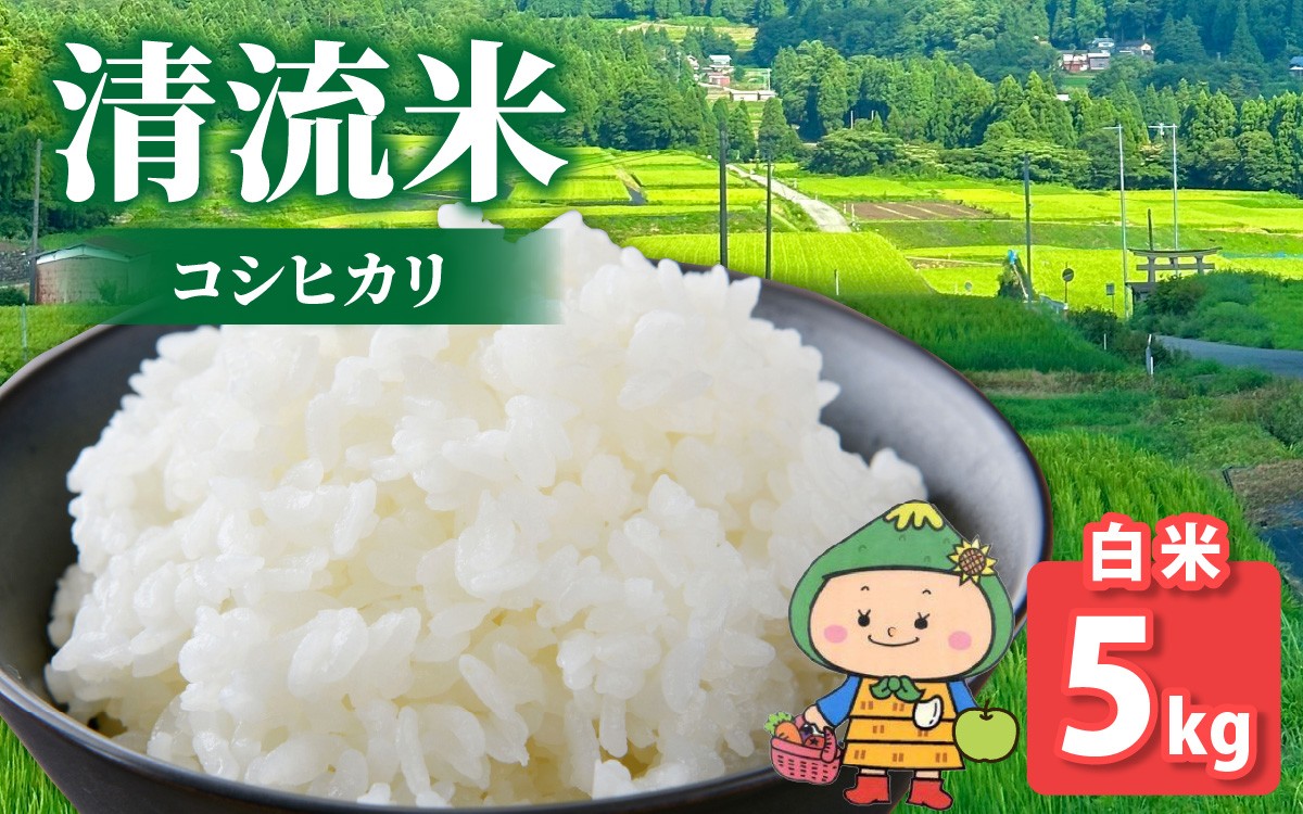 【令和8年産 新米】【福井県大野市】さかだに棚田清流米！(コシヒカリ)（白米） 5kg「今話題の、あのバンドのロケ地！」#🍏