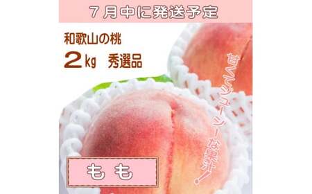 定期便【全3回/6・7・8月】夏をお届け！フルーツ定期便！小玉すいか・桃・ピオーネ / フルーツ 果物 すいか ひとりじめ7 もも モモ ぶどう ブドウ  旬 定期便  【tkb345】