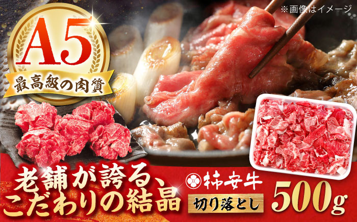 
             【選べる発送月】 最高級A5等級 三重県産 黒毛和牛 柿安牛 牛肉 切り落とし 500g / 人気 a5 肉 切り落とし 国産 おすすめ 牛肉 冷蔵 国産牛肉 和牛 牛肉切り落とし 切り落とし肉 牛肉 冷蔵 カレー すき焼き 牛丼 肉じゃが プルコギ しゃぶしゃぶ /　三重県 / 亀山市 / 柿安本店 [AMBW001]
          