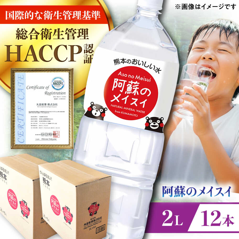 【ふるさと納税】阿蘇のメイスイ 2L 計12本(6本×2ケース) 天然水 水 ミネラルウォーター 備蓄 熊本 菊陽町【丸富産業株式会社】[BHDG006]