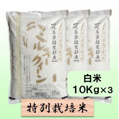 ふるさと納税 池田町 【令和6年産】特別栽培米 30kg【白米】(ミルキークイーン)