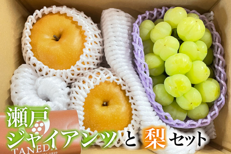 ぶどう 瀬戸ジャイアンツと梨のセット ぶどう 梨 