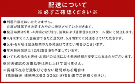 冷凍 伊勢海老 お鍋用 約 2.5kg 産地直送