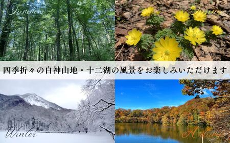 アオーネ白神施設で使える利用券 50,000円分  [fu-0013-006]