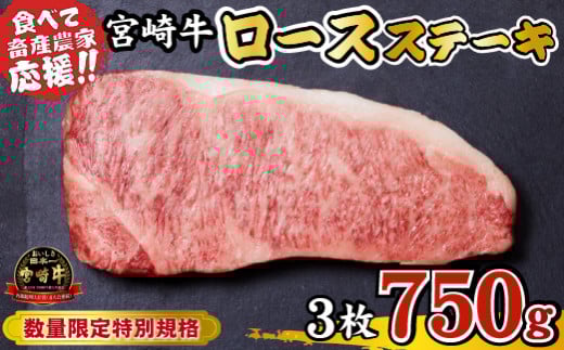 【内閣総理大臣賞 4大会連続受賞】宮崎牛 ロースステーキ 750g（牛肉 黒毛和牛 畜産農家応援 ロース ステーキ 赤身 数量限定）