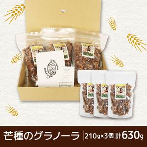 グラノーラ 手作り 210g×3個 計630g 国産 オーガニック 有機 ドライフルーツ フルーツ ナッツ ワイン おつまみ 果物 レーズン くるみ 朝ごはん おやつ ギフト 静岡県 藤枝市  ( ｸ
