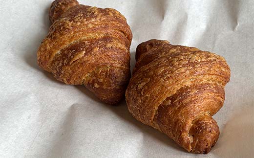 手作り ハードパンセット 12個 冷凍 パン 冷凍食品 おまかせ ギフト ティータイム こだわり 手作り 北海道 釧路 _F4F_8510