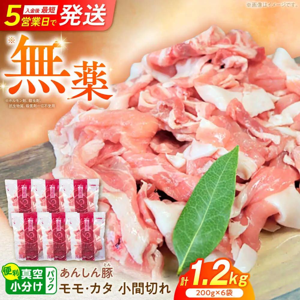 豚肉 こま切れ 計1.2kg 藤井ファーム[AWAF060]豚こま