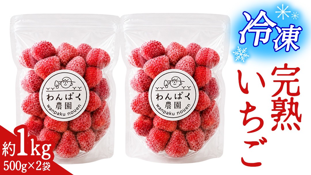 
                  冷凍 完熟 イチゴ 1kg ( 500g × 2袋 ) スムージー お菓子  ヨーグルト アイス デザート おやつ 朝食 いちご博銀賞 受賞 産地直送 農家直送 わんぱく農園 茨城県 城里町 (BT003)
                