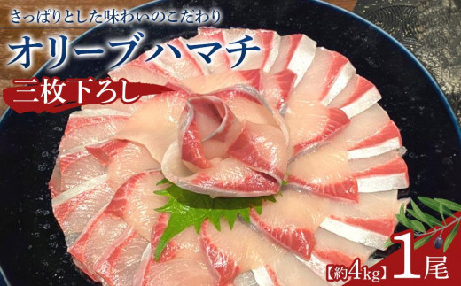 
                  オリーブハマチ1尾三枚下ろし 約4kg
                