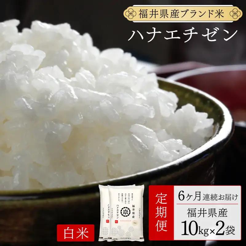 【定期便6回】福井県産 ハナエチゼン 精米 20kg（10kg×2）＜令和8年産＞[095-t06-a626]