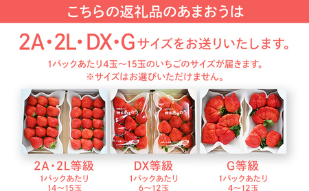 【2024年2月～3月順次発送予定】 あまおう 合計約1,120g 約280g×4パック 