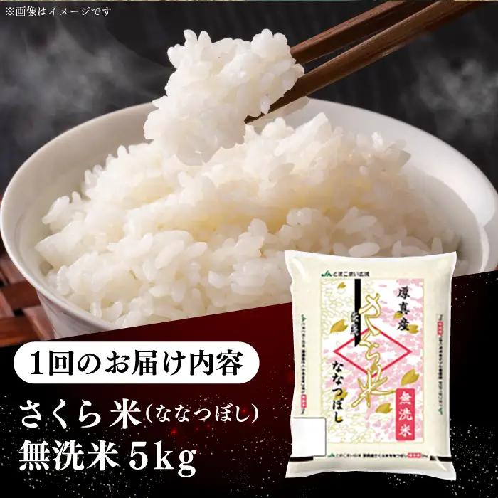 令和7年産 令和8年産 【全12回定期便】【無洗米】さくら米（ななつぼし）5kg 1年 12ヵ月 お米 無洗米 白米 ななつぼし 北海道 [AXAB010]