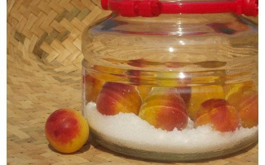 【梅干・梅酒用】（4Lまたは3L－10kg）熟南高梅＜2027年6月上旬～7月上旬ごろに順次発送予定＞【art007C】
