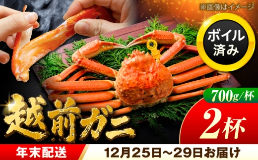 【先行予約/12月25日より順次発送】【年末希望】 越前がに 700ｇ×2杯 ズワイガニ ずわいがに ボイル 冷蔵 小浜市 / まるほ商店 【配送不可地域：北海道・沖縄・離島】[BFCS037]