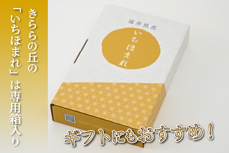 【令和5年産】いちほまれ 精米 5kg 《ギフトにもおすすめ！化粧箱入り》／ 福井県産 ブランド米 白米 贈り物 お取り寄せ