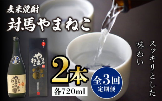 【全3回定期便】麦米焼酎 対馬やまねこ 25度 720ml 2本セット《対馬市》【株式会社サイキ】対馬 酒 贈り物 米焼酎 プレゼント 焼酎 [WAX022]