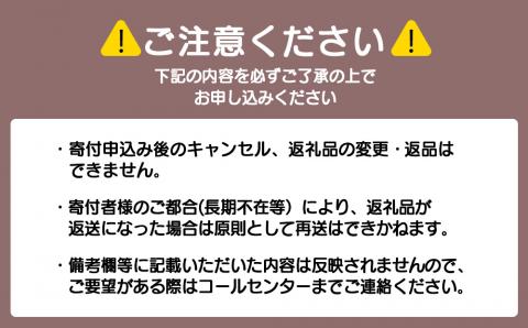 【定期便6ヶ月】ドリップバッグコーヒー モカ ゲイシャ 10袋