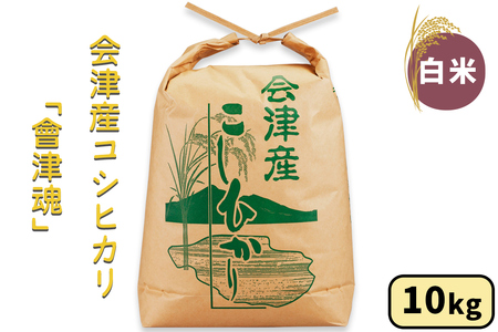 会津産 コシヒカリ「會津魂」【白米】10kg｜令和7年産 2025年産 こしひかり 会津若松市 お米 米 こめ 白米 コメ 精米 新米 [1035]