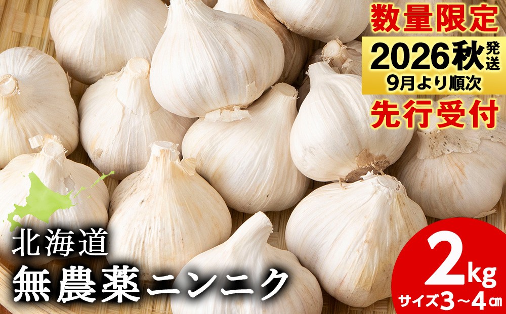 
                  【数量限定】予約受付　無農薬ニンニク“Sサイズ”2kg（500g×4袋） 無農薬 にんにくガーリック
                