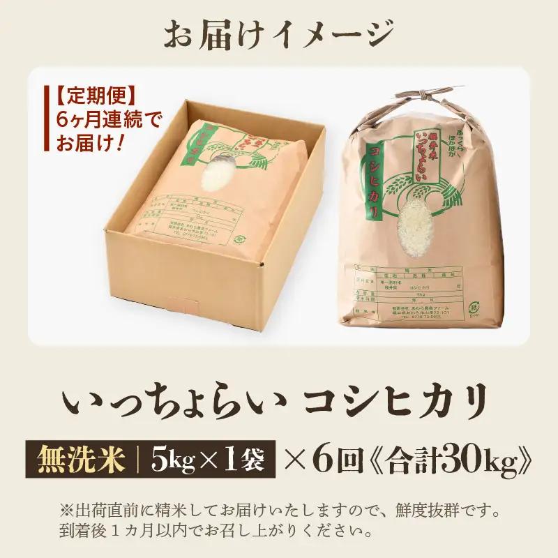 【先行予約】【令和8年産・新米】【一等米】《定期便6回》いっちょらい 無洗米 5kg × 6回（計30kg） ／ 福井県産 ブランド米 コシヒカリ ご飯 白米 新鮮 大賞 受賞 ※2026年10月上旬