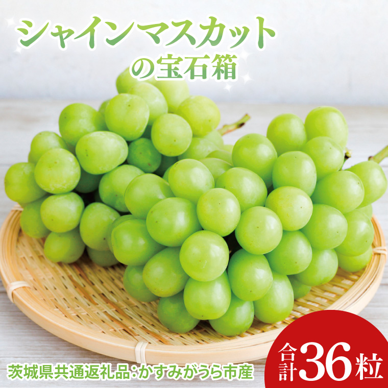 【先行予約】【お歳暮】シャインマスカットの宝石箱36粒（茨城県共通返礼品：かすみがうら市）|プレゼント 贈答 贈り物 ぶどう 葡萄 ブドウ マスカット 茨城県 大子町（CD190）