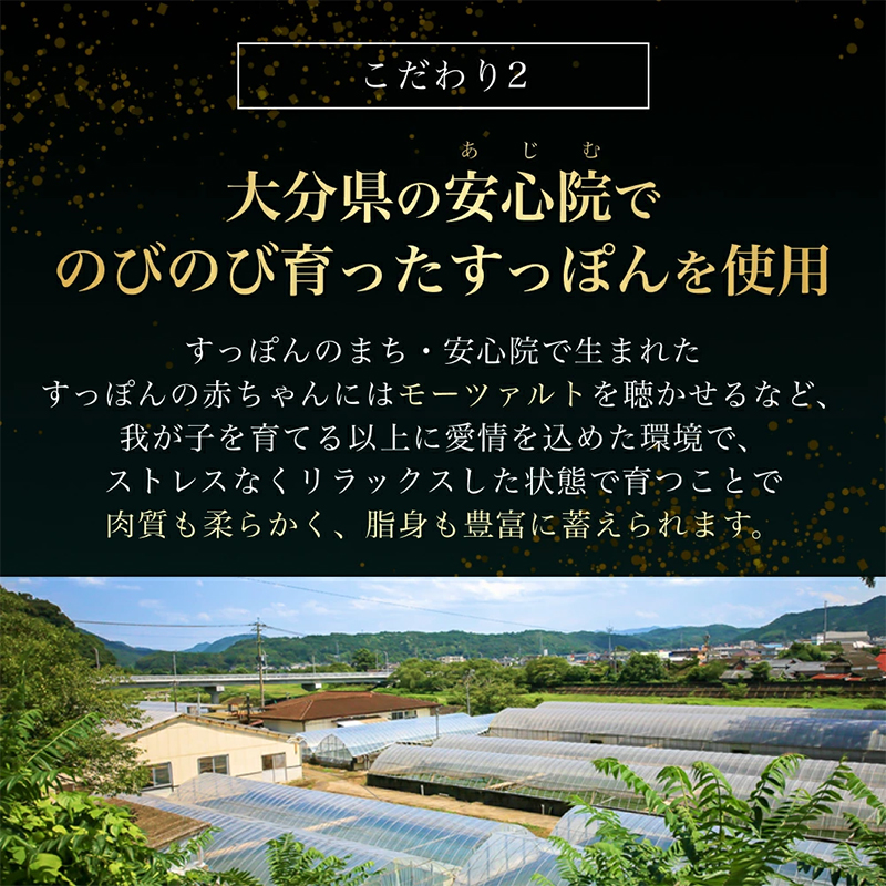 4個セットすっぽん肝入り 食べるラー油 すっぽん すっぽん肝 肝 おつまみ 食べるラー油 料理 エキス 国産 グルメ 老舗 全国 取り寄せ 取り寄せグルメ 美容