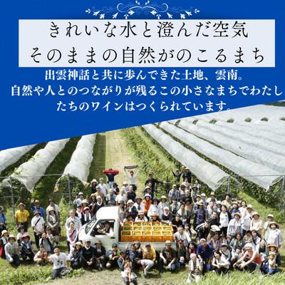 ふるさと納税 雲南市 杜のワイン白(辛口)・木次乳業チーズ4種詰め合わせセット |  | 01
