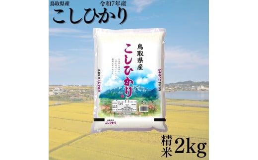 382KZ.鳥取県産こしひかり◇精米2kg◇令和7年産