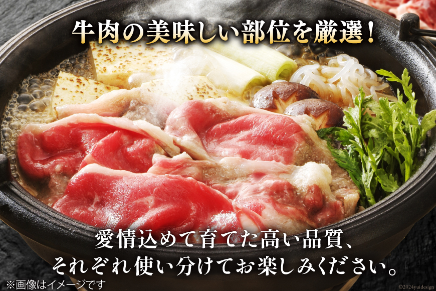 宮崎県産 黒毛和牛 スライス セット 切り落とし モモ リブロース 肩ロース カタ 500g×3 計1.5kg [サンアグリフーズ 宮崎県 美郷町 31ba0029] 小分け 冷凍 送料無料 切落し_