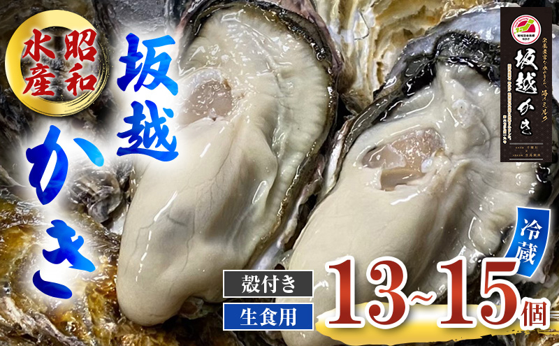 牡蠣 生食用 お試し 坂越かき 殻付き 13～15個 昭和水産 [ 生牡蠣 真牡蠣 かき カキ 一人暮し 冬牡蠣 ] 魚貝類 名水百選 天然記念物 生島樹林 栄養 海 ミルク 濃厚 旨味 厳選 新鮮 