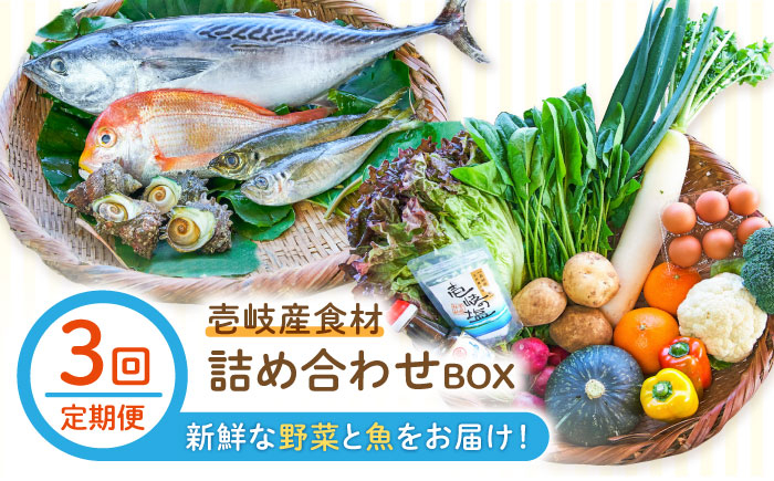 
            【全3回定期便】壱岐産食材詰め合わせBOX「野菜と魚」 [JBF024] 詰め合わせ 野菜 卵 鮮魚 セット    100000 100000円 10万円
          