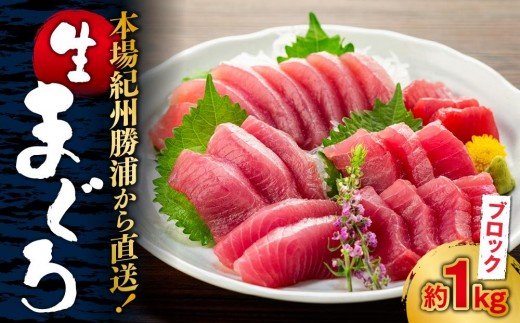 
                  生まぐろの本場紀州勝浦から直送！　生メバチマグロ 約1kg　国産 生 めばちまぐろマグロ 鮪 刺身 海鮮丼 ブロック 刺身 冷蔵 カルパッチョ まぐろ丼 寿司 まぐろ 手巻き寿司 人気マグロ おすすめマグロ 贈答 まぐろ和歌山 那智勝浦生まぐろ水揚げNO.1 マグロ刺身 冷蔵マグロ めばちマグロ まぐろ刺身 紀州勝浦マグロ まぐろ 海鮮マグロ 魚介類 魚 さかな高評価 マグロ まぐろ 那智勝浦町
                