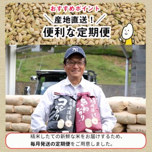 【8回定期便】5kg×8回 計40kg 京都丹波米こしひかり 訳あり 定期便 米 5kg 8ヶ月 白米 ※精米したてをお届け ※北海道・沖縄・離島への配送不可≪契約栽培米 緊急支援 米 コシヒカリ 京