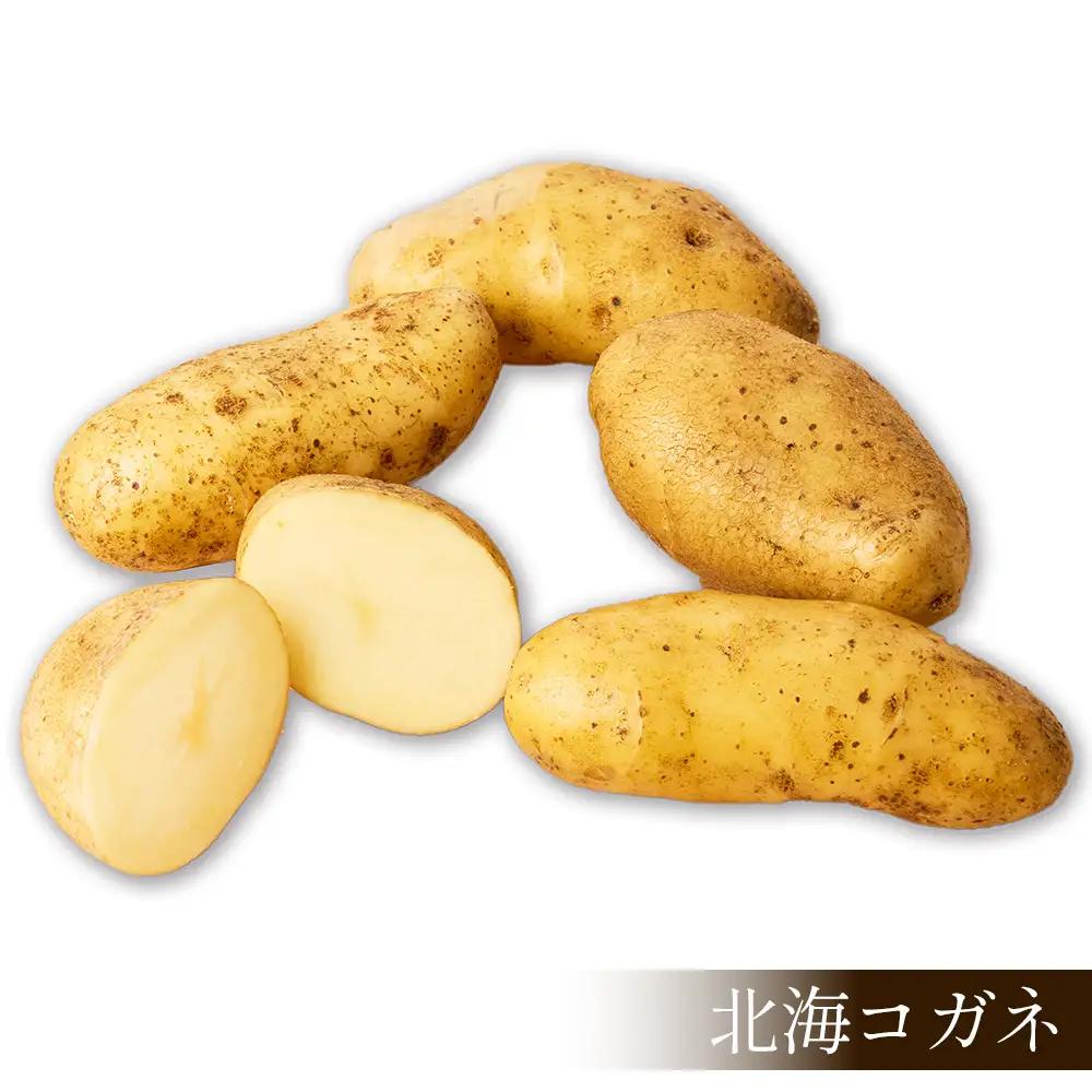 2026年産 先行予約 北海道産 新じゃが じゃがいも ホッカイコガネ 10kg 北海道 上士幌町 須田農場 野菜 ジャガイモ 馬鈴薯 北海こがね 産地直送 ◆2026年9月下旬発送開始予定