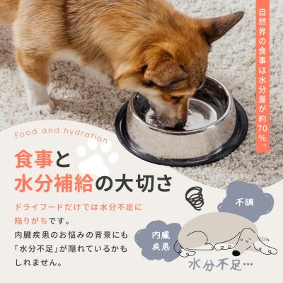 ふるさと納税 京都市 【MANMA BUONO】犬の手作りごはん お試しAセット3種|ペットフード 有名 人気ペットフード |  | 02